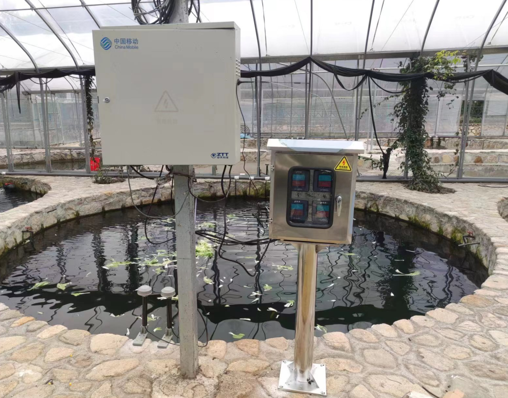 陆恒案例-浙江省水产健康养殖示范项目